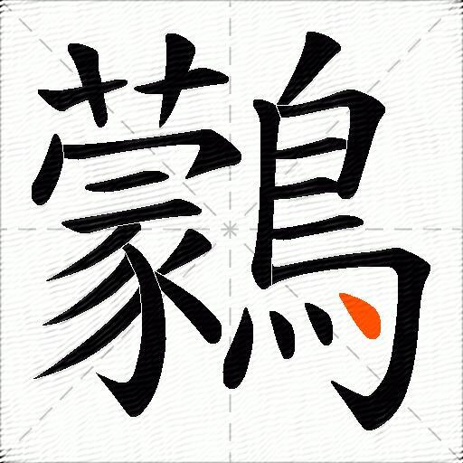 鸏