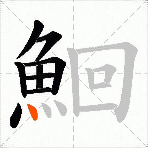鮰