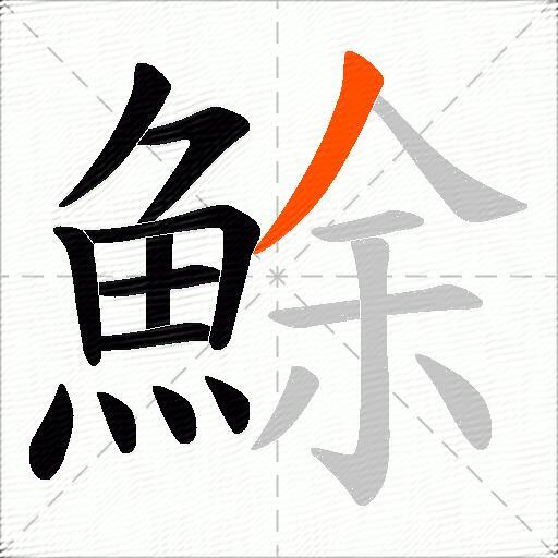 鮽