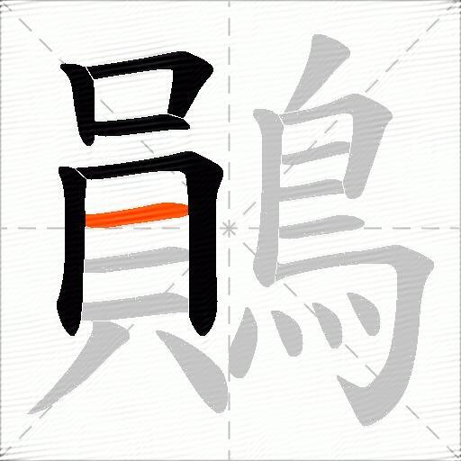 鶰