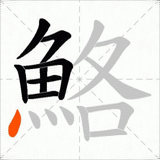 鮥