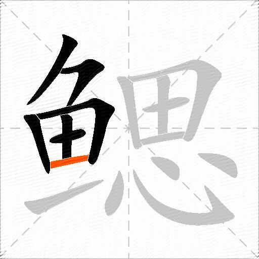鳃