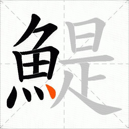 鯷