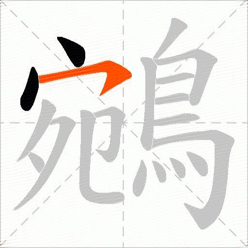 鵷