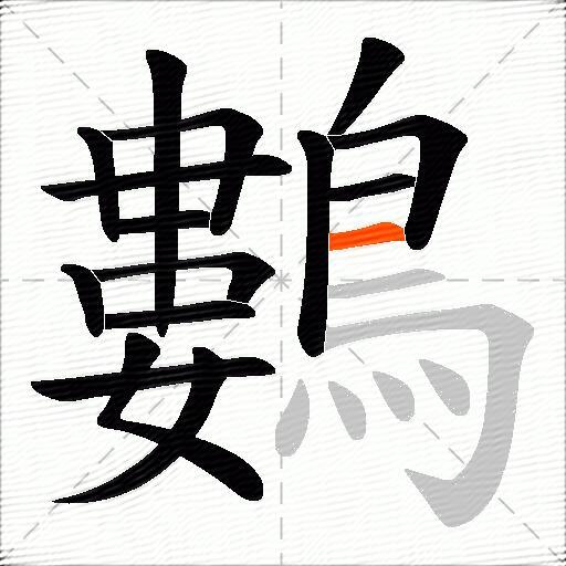 鷜