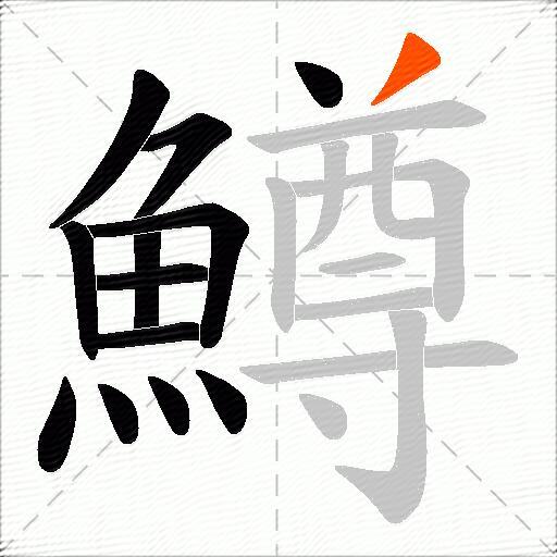 鱒