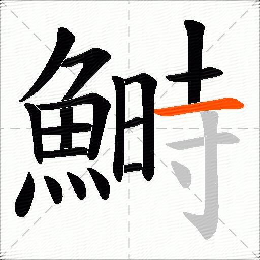 鰣