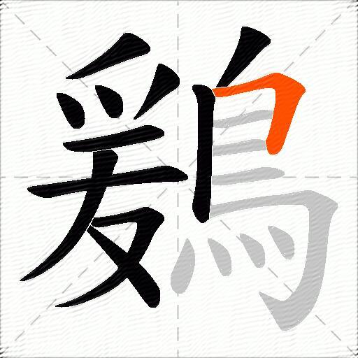 鶢