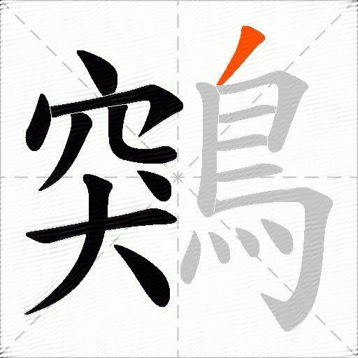 鶟