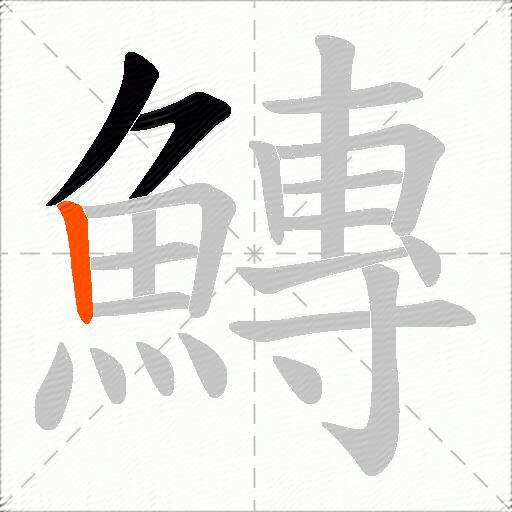 鱄