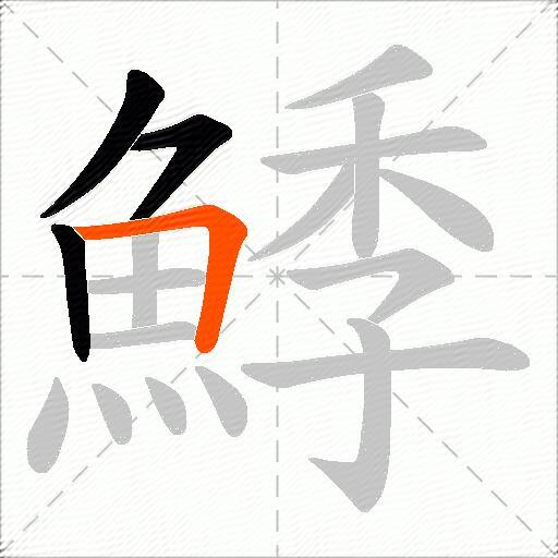 鯚