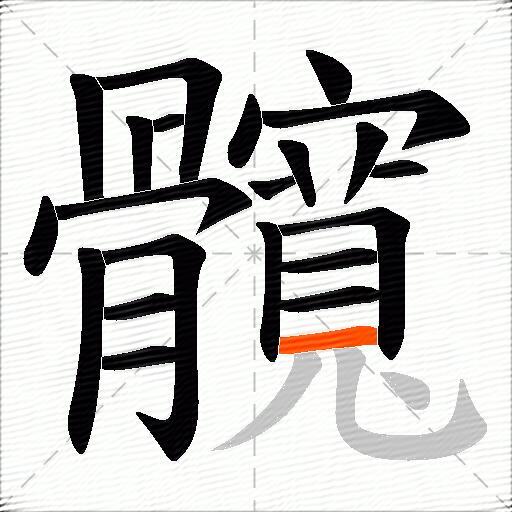 髖