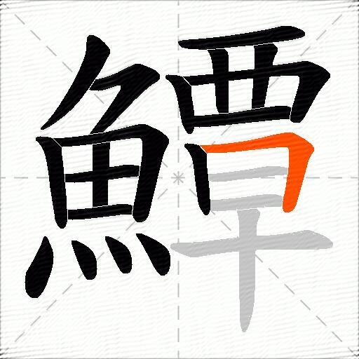鱏