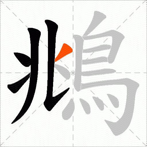 鴵