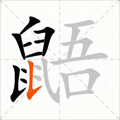 鼯