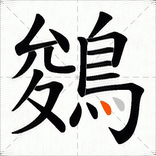 鵕
