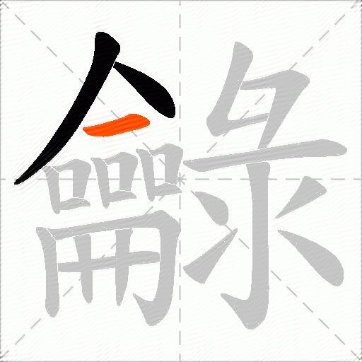 龣