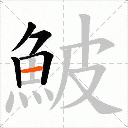 鮍