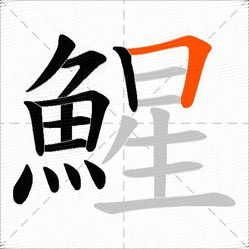 鯹