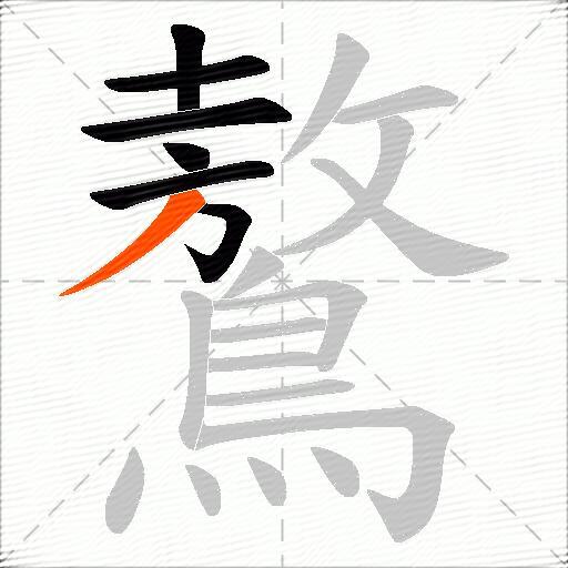 鷔