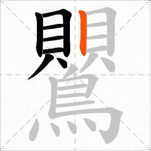 鸎