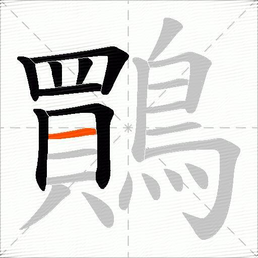 鷶