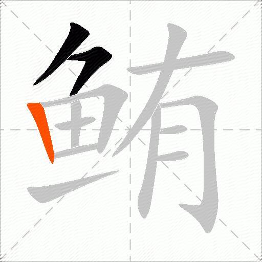 鲔