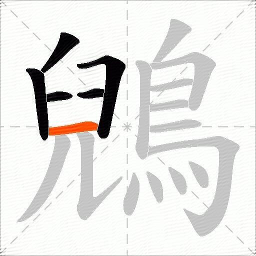 鶂