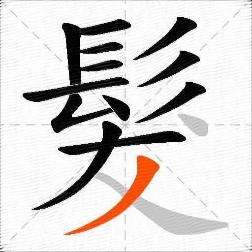 髮