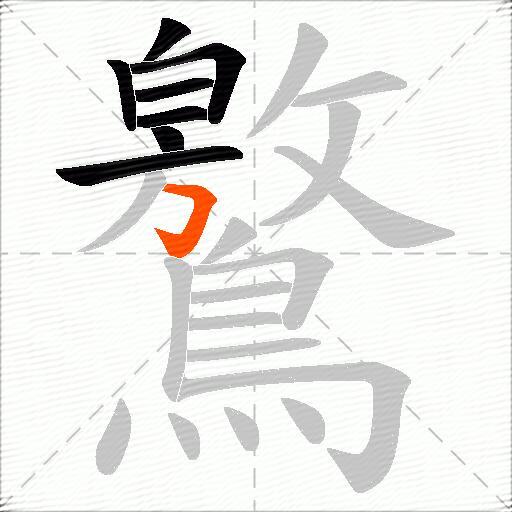 鸄