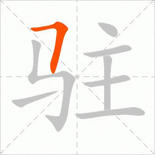 驻