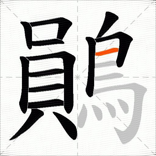 鶰