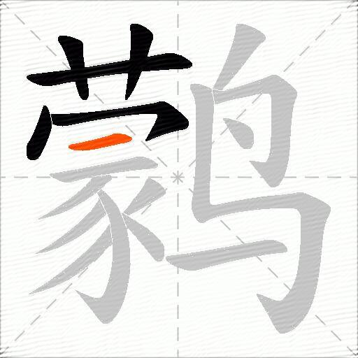 鹲
