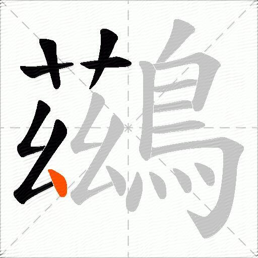 鷀