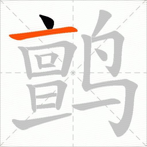 鹯