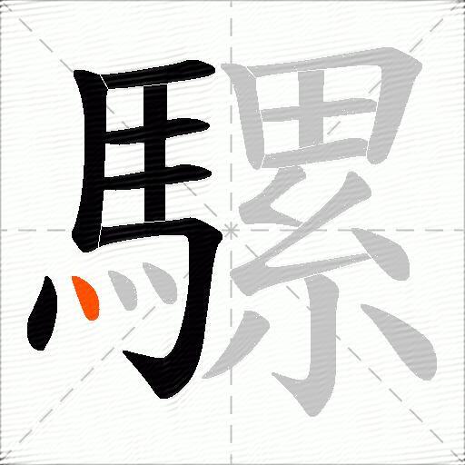 騾