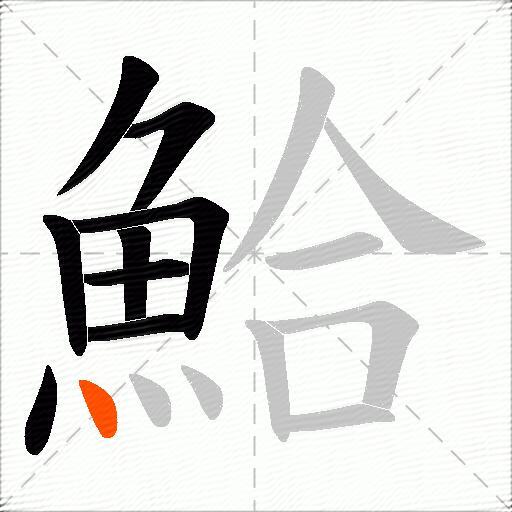 鮯