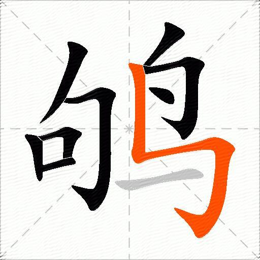 鸲
