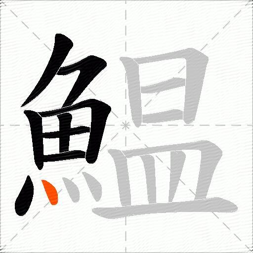 鰛