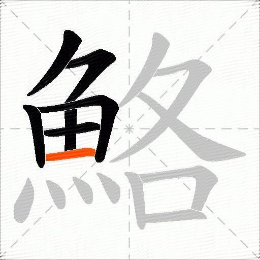 鮥