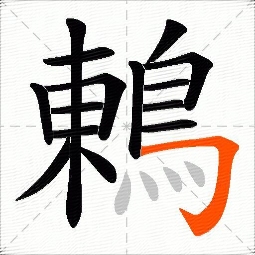 鶇