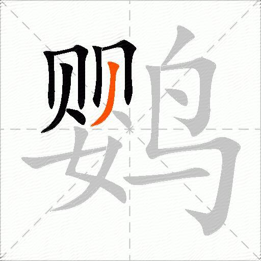 鹦