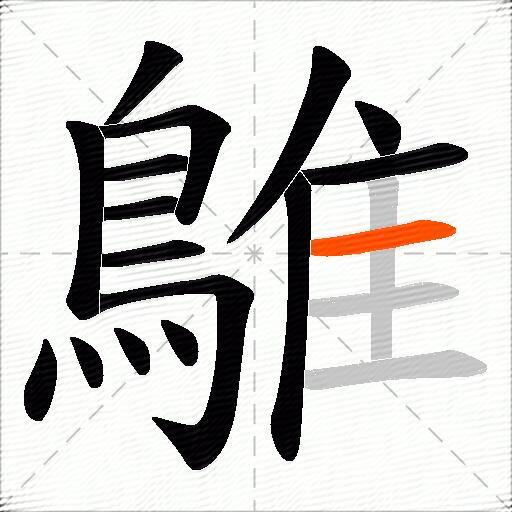 鵻