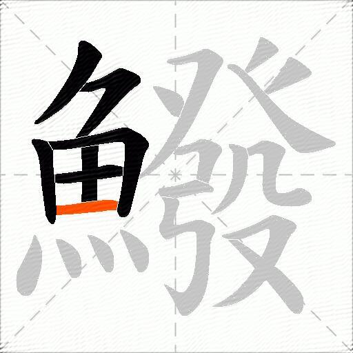 鱍