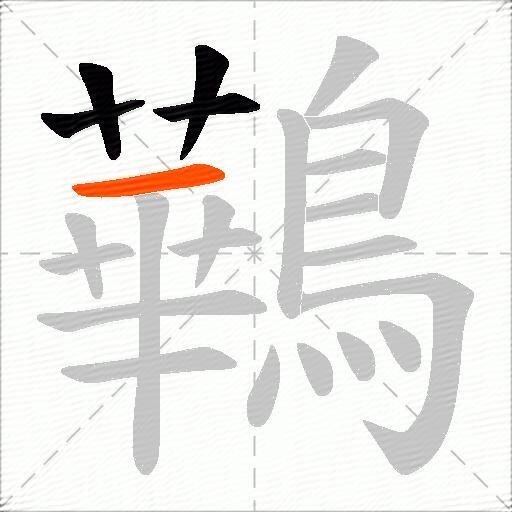 鷨