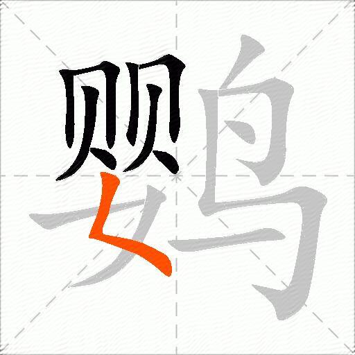 鹦