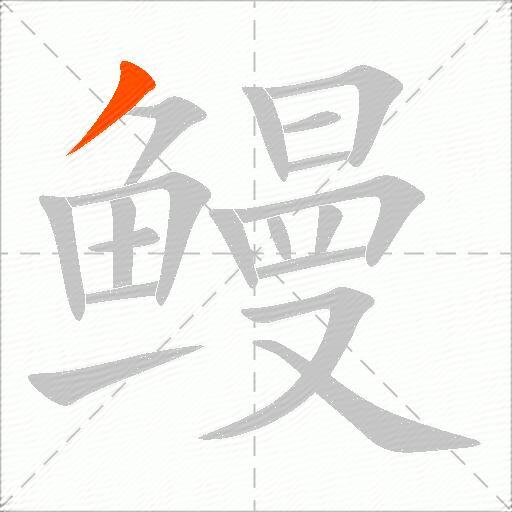 鳗