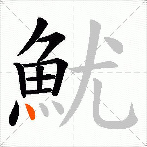 魷