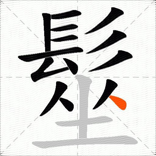髽