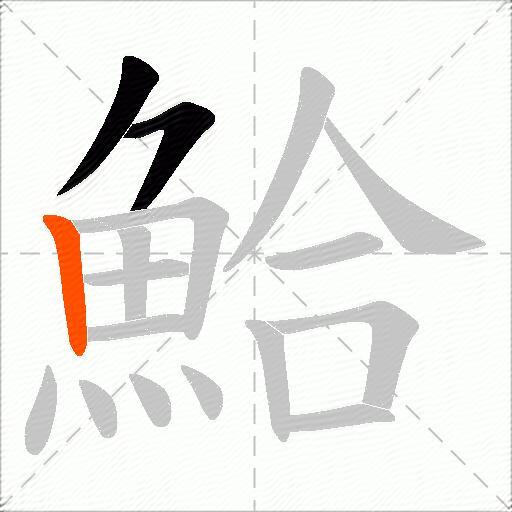 鮯